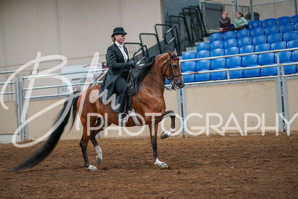 Aurora Show June 6, 2024  - 04836