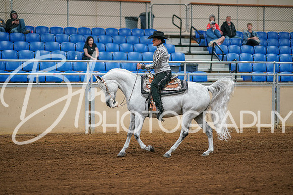 Aurora Show June 6, 2024  - 03784