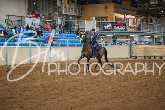 Aurora Show June 8, 2024  - 00978