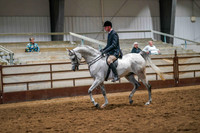 272 Region 17 A/HA/AA Hunter Pleasure ( 5 years of Age & Under) JACKPOT