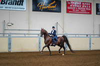 52 ALL BREEDS SADDLE SEAT EQUITATION 14-17