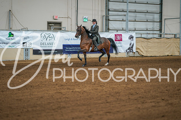 Aurora Show June 7, 2024  - 02557