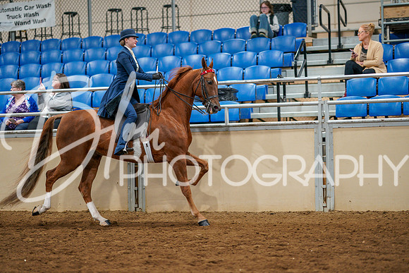 Fall Classic Sept 27, 2024 - 0782