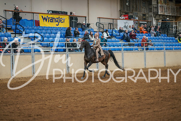 Aurora Show June 8, 2024  - 00973