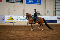 Aurora Show June 6, 2024  - 04749