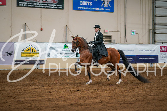Aurora Show June 6, 2024  - 04749