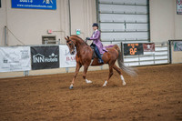 200 AMERICAN SADDLEBRED English Country Pleasure Sr Rider