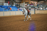146A - ARABIAN Ranch Riding Jr Horse