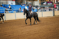 Class 30 - ALL BREEDS HUNTER PLEASURE, MAIDEN RIDER
