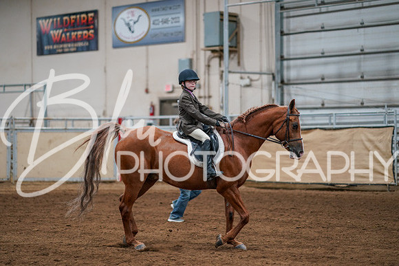 Aurora Show June 8, 2024  - 00916