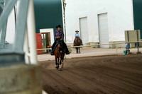 361 Region 17 HA/AA Reining Championship - Open-