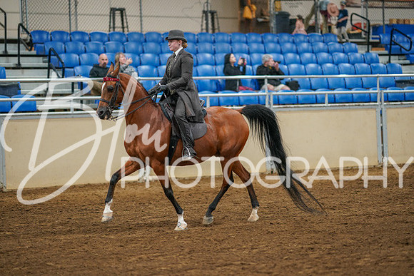 Aurora Show June 8, 2024  - 02557