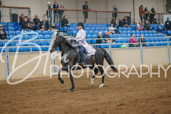 Aurora June 7, 2025 - 0813