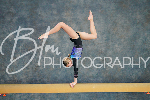 Airdrie Edge Gymnastics Feb 2, 2025 - 0173
