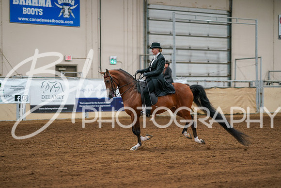 Aurora Show June 6, 2024  - 04778