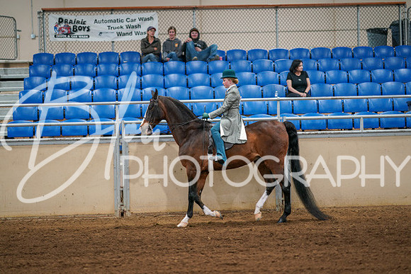 Aurora Show June 6, 2024  - 03864