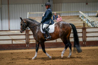 237 Region 17 HA/AA Sport Horse Under Saddle Championship