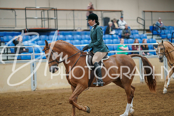 Aurora June 6, 2025 - 1473