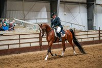 243 Region 17 Arabian Sport Horse Show Hack Championship