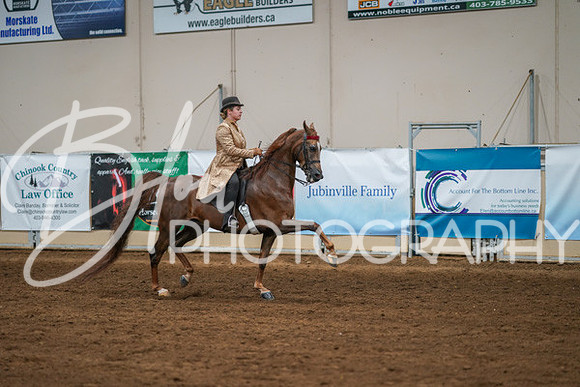 Aurora Show June 8, 2024  - 02595