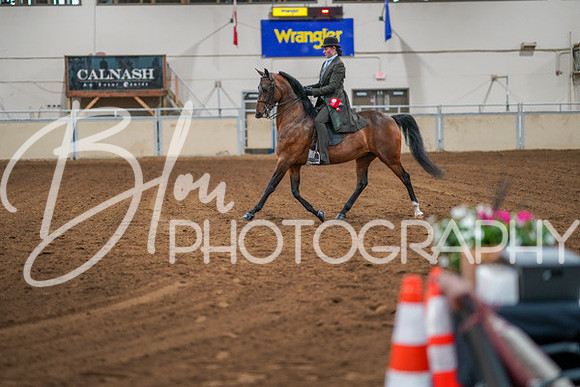 Aurora Show June 7, 2024  - 02696