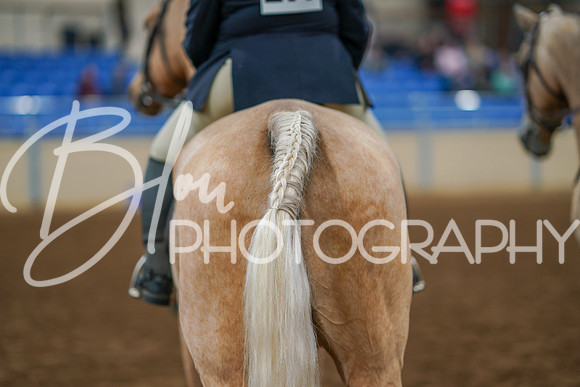 Fall Classic Sept 29, 2024 - 0823