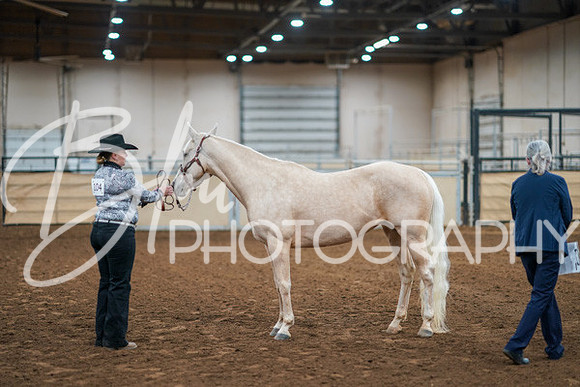 Aurora Show June 8, 2024  - 00423