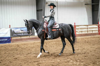 283 Region 17 Arabian Western Pleasure JTR Championship