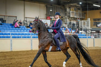 5 ASB 3-GAITED SHOW PLEASURE, OPEN