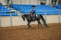 52 - All Breed Western Pleasure Mares