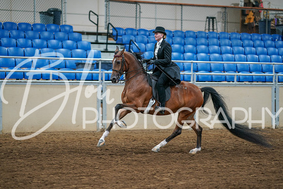 Aurora Show June 6, 2024  - 04773