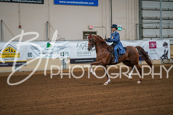 Aurora Show June 8, 2024  - 00349