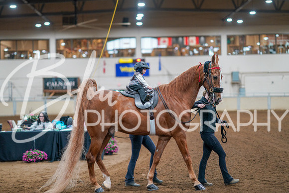 Aurora Show June 8, 2024  - 02406