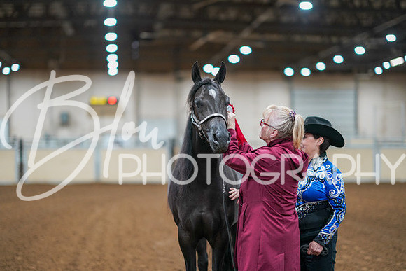 Aurora Show June 8, 2024  - 00068