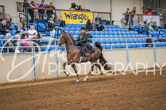 Aurora Show June 8, 2024  - 02849