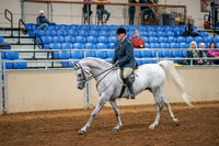 Aurora Show June 8, 2024  - 03367