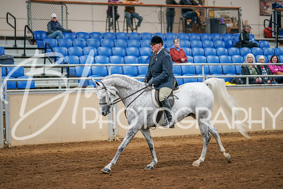 Aurora Show June 8, 2024  - 03367