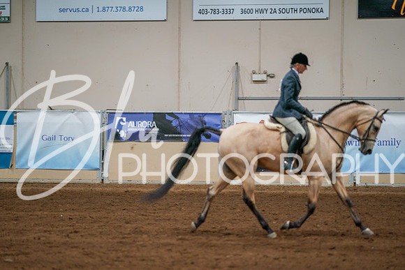 Aurora Show June 8, 2024  - 03478