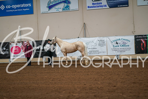 Aurora Show June 8, 2024  - 00408