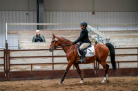 259 Region 17 Arabian Sport Horse Under Saddle AOTR Championship