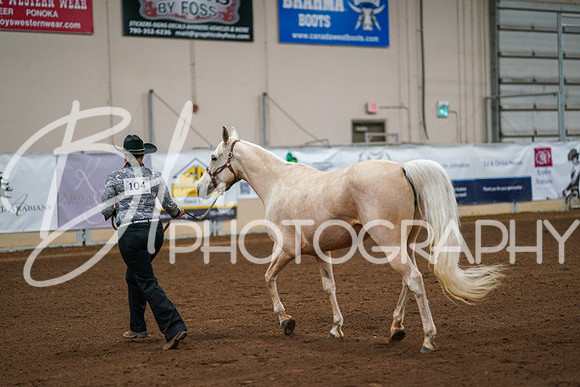 Aurora Show June 8, 2024  - 00442