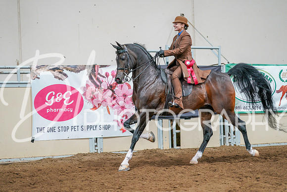 Fall Classic Sept 27, 2024 - 0994