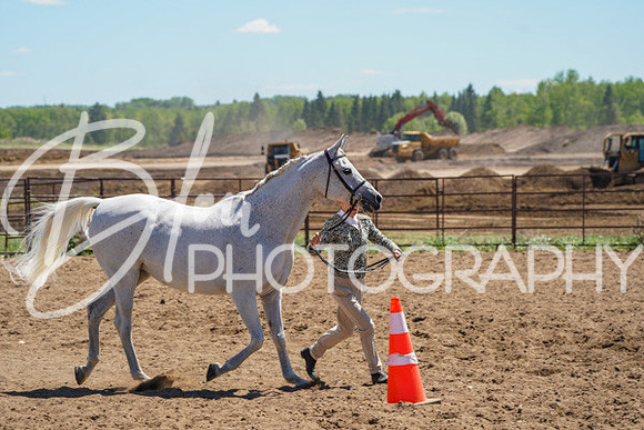 Aurora Show June 6, 2024  - 01588