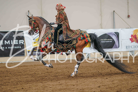 Aurora June 8, 2025 - 1882