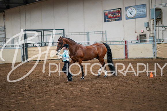 Aurora Show June 8, 2024  - 00368