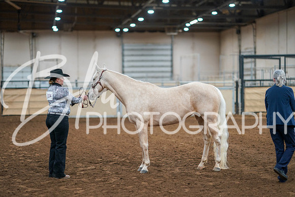 Aurora Show June 8, 2024  - 00424