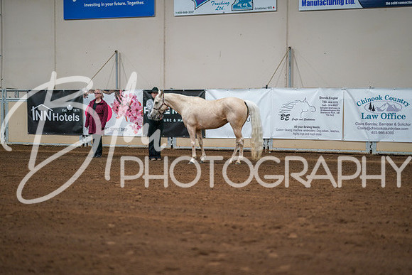 Aurora Show June 8, 2024  - 00180