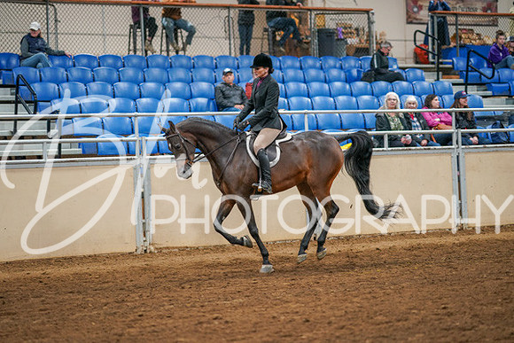 Aurora Show June 8, 2024  - 03361