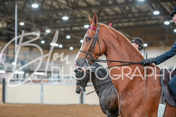 Fall Classic Sept 29, 2024 - 0782