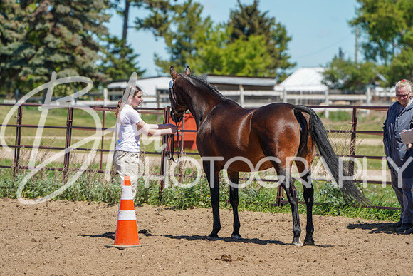 Aurora Show June 6, 2024  - 01607